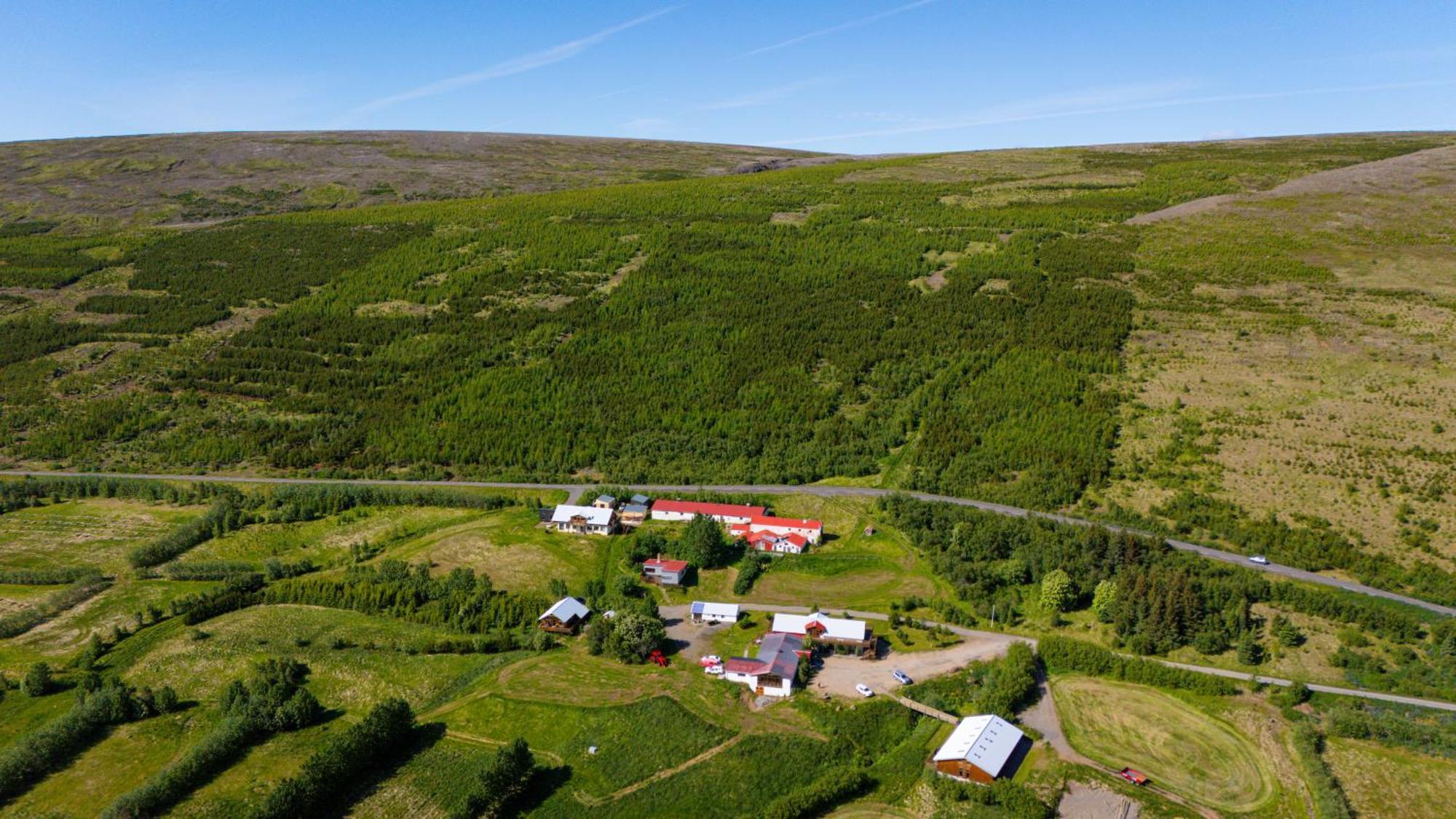 Hotel A Reykholt  Dış mekan fotoğraf